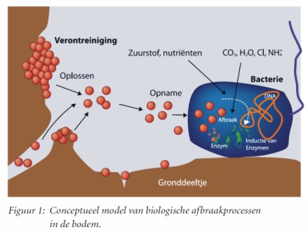 Natuurlijke afbraak. Bron: Soilpedia